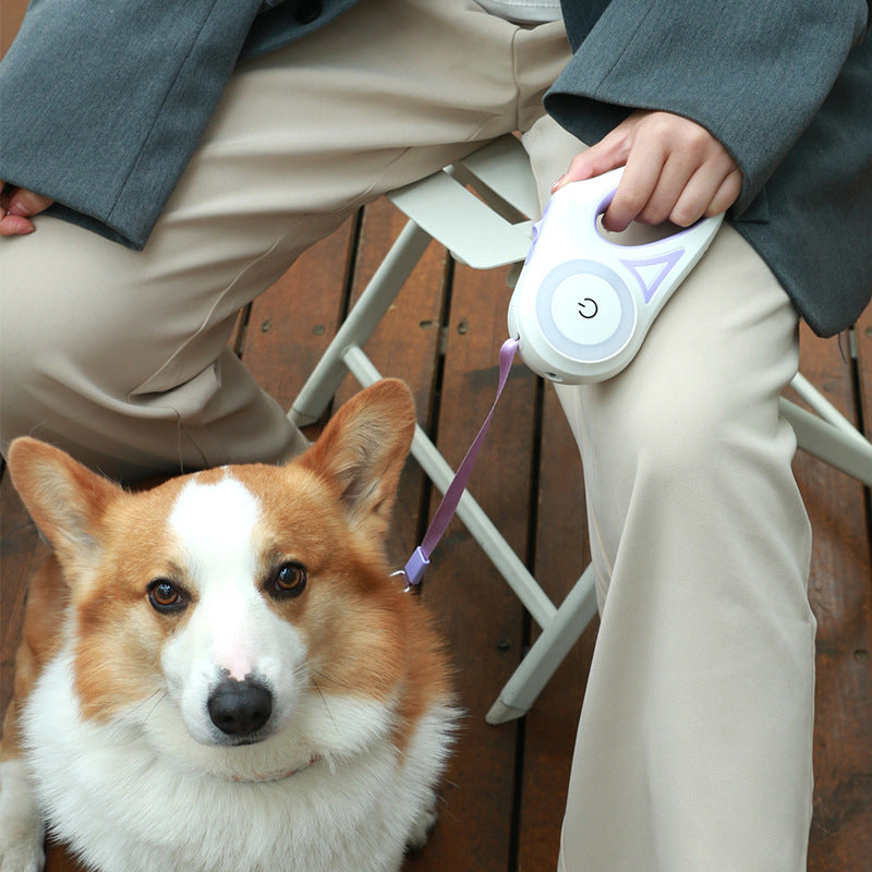 Retractable Dog Leash with LED Spotlight — Automatic Traction Rope for Small & Medium Dogs