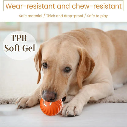 Smart Interactive Pet Toy Ball | Auto-Bouncing USB Rechargeable Dog & Cat Toy