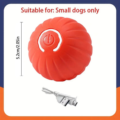 Smart Interactive Pet Toy Ball | Auto-Bouncing USB Rechargeable Dog & Cat Toy